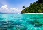 Trinidad and Tobago records its highest Covid-related death rate
