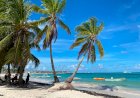 Caribbean islands 'likely to be added to the green list next month,' according to travel experts - Voice Online
