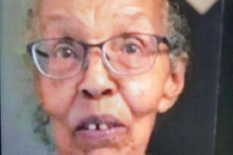 Urgent police appeal is launched in search for high risk missing woman from Hackney - Voice Online