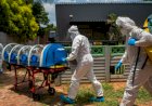 'Vaccine apartheid' may have led to new African variant