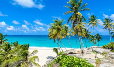 Barbados enters the metaverse