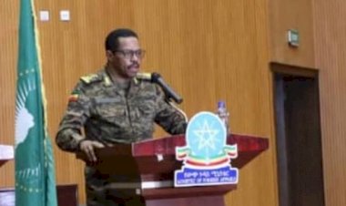 Ethiopia named military general its new ambassador to Kenya.