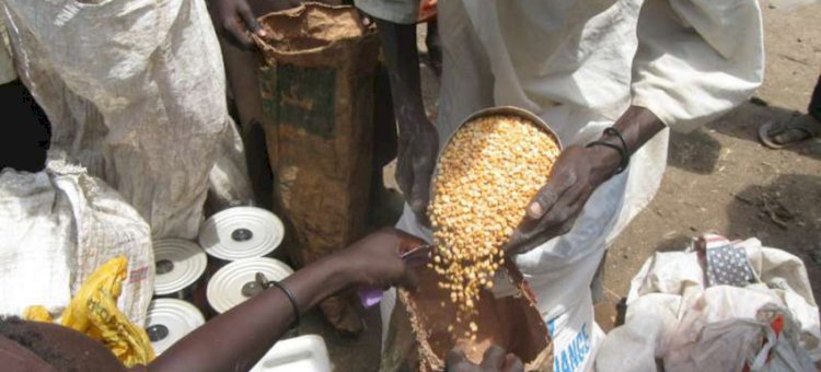 West Africa facing its worst food crisis in a decade, aid organisations warn