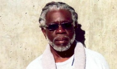 Petition launched to free Tupac's Black Panther stepfather from prison