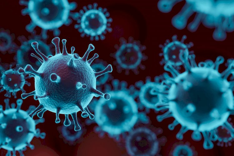 St Lucia confirms first case of new Covid variant