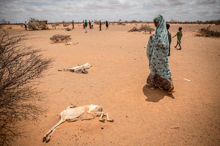 African nations call for an end to climate injustice