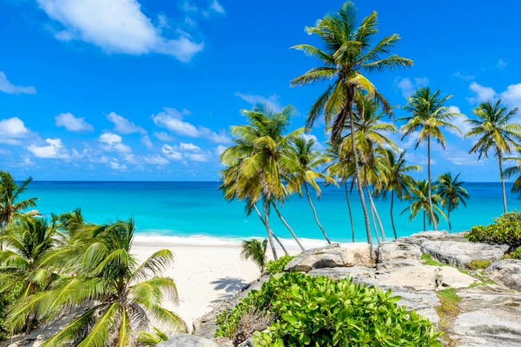 Barbados drops all Covid entry rules