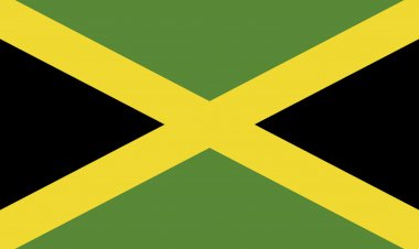 Two-week gun amnesty to begin in Jamaica