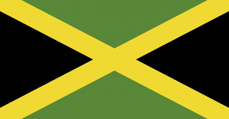 Two-week gun amnesty to begin in Jamaica
