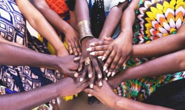 African/Black History, is a big part of the World’s History! One can’t exist without the other!! So here are some resources & suggestions to pass onto your child’s school & other parents.