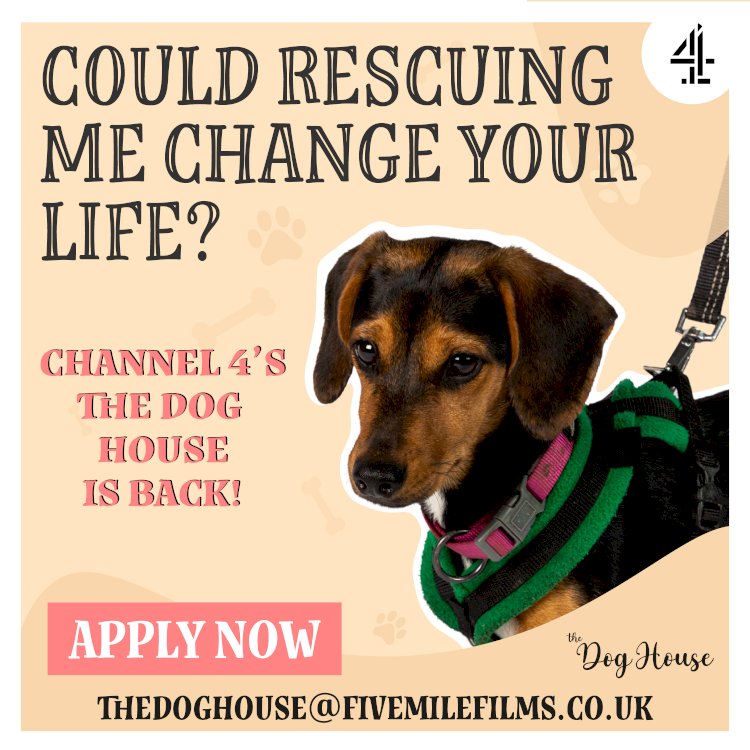 Channel 4’s heart-warming TV series, THE DOG HOUSE is back!