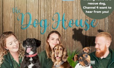 e much-loved Channel 4 series The Dog House Returns