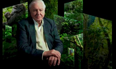 Chester Zoo to bring Sir David Attenborough’s Our Story to the north of England for the first time